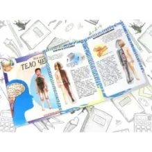 Тело человека. Мой первый атлас