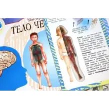 Тело человека. Мой первый атлас