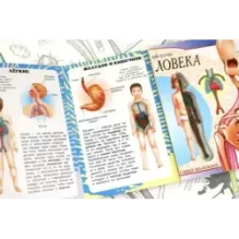 Тело человека. Мой первый атлас