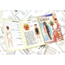 Тело человека. Мой первый атлас