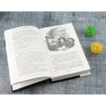 Посмертные записки Пиквикского клуба. В 2-х томах. Том 2