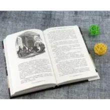 Посмертные записки Пиквикского клуба. В 2-х томах. Том 2