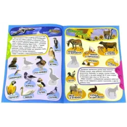 Учись, играя. 5-7 лет. Животные