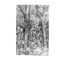 Волшебный мелок