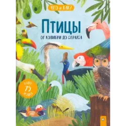 Птицы. От колибри до страуса