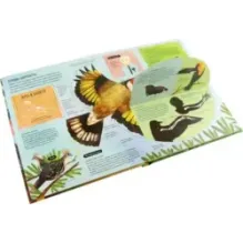 Птицы. От колибри до страуса