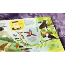 Птицы. От колибри до страуса