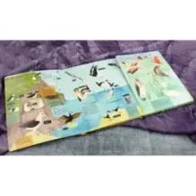 Птицы. От колибри до страуса