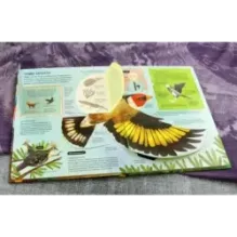 Птицы. От колибри до страуса