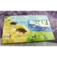 Птицы. От колибри до страуса