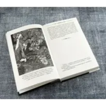 Золотой жук