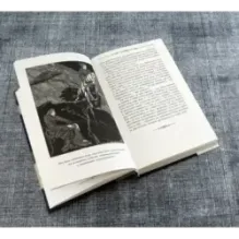 Золотой жук