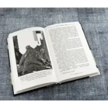 Золотой жук