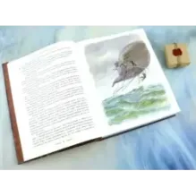 Таинственный остров