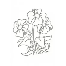 Веселые раскраски (красная)