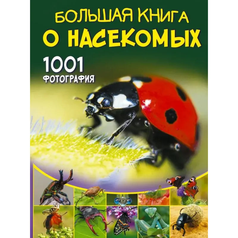 Большая книга о насекомых. 1001 фотография