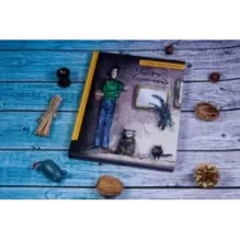 Ученик волшебника