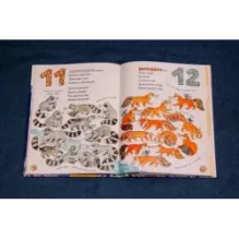 1, 2, 3, 4, 5 - я иду зверей считать!