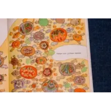 1, 2, 3, 4, 5 - я иду зверей считать!