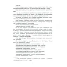 Пятнадцатилетний капитан