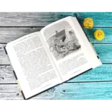 Граф Монте-Кристо. В 2-х томах