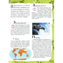 В лесу, в жарких странах, рядом с нами. Увлекательное путешествие в мир живой природы