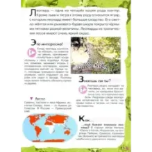 В лесу, в жарких странах, рядом с нами. Увлекательное путешествие в мир живой природы