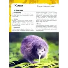 В лесу, в жарких странах, рядом с нами. Увлекательное путешествие в мир живой природы