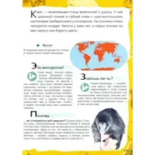 В лесу, в жарких странах, рядом с нами. Увлекательное путешествие в мир живой природы