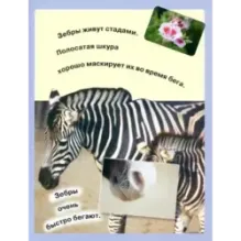 Читай, играй, наклеивай. Животные. Синяя