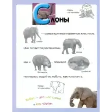 Читай, играй, наклеивай. Животные. Синяя