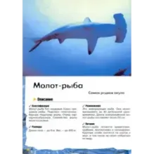 Под водой, на суше, в воздухе. Увлекательное путешествие в мир живой природы
