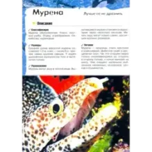 Под водой, на суше, в воздухе. Увлекательное путешествие в мир живой природы