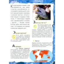 Под водой, на суше, в воздухе. Увлекательное путешествие в мир живой природы