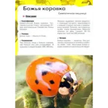 Под водой, на суше, в воздухе. Увлекательное путешествие в мир живой природы