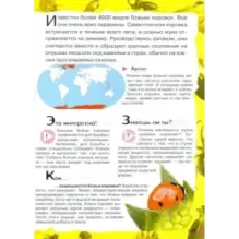 Под водой, на суше, в воздухе. Увлекательное путешествие в мир живой природы