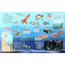 Океаны. От планктона до кита