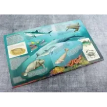 Океаны. От планктона до кита