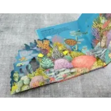 Океаны. От планктона до кита