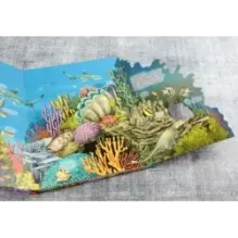 Океаны. От планктона до кита