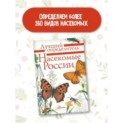 Насекомые России