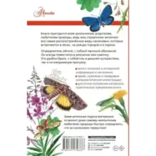 Насекомые России