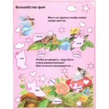 Моя бриллиантовая книга. Феи (оранжевая)