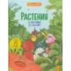 Растения. От петрушки до секвойи