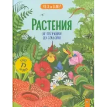 Растения. От петрушки до секвойи