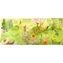 Растения. От петрушки до секвойи