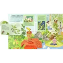 Растения. От петрушки до секвойи