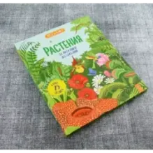 Растения. От петрушки до секвойи