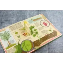 Растения. От петрушки до секвойи