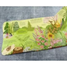 Растения. От петрушки до секвойи